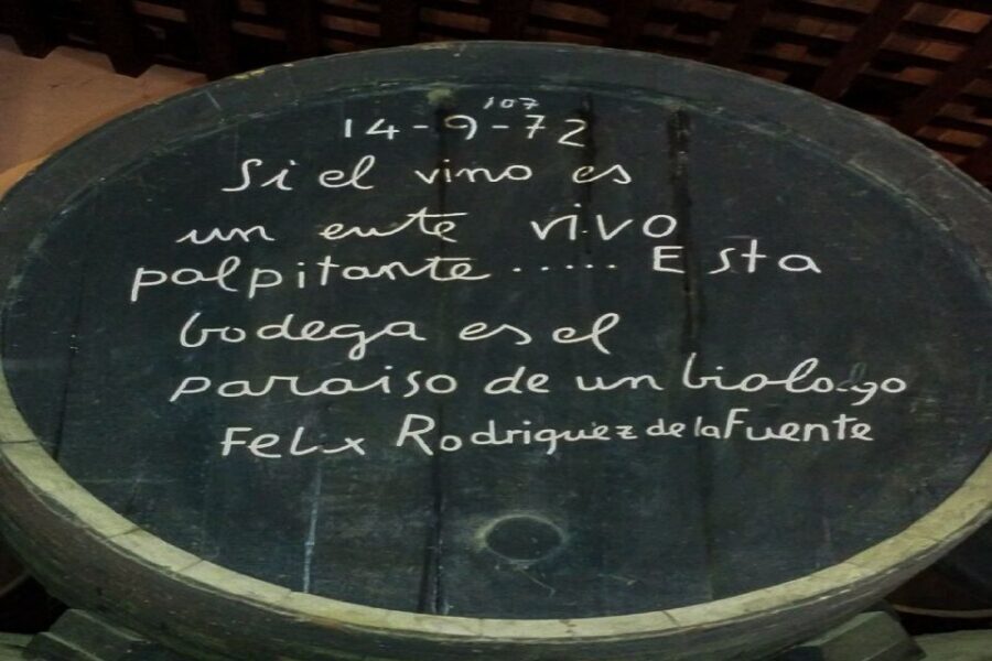 Half-Day Wine Tour in Andalusia in small group - Bodegas Andrade: The Winery Visit That Makes This Worth It