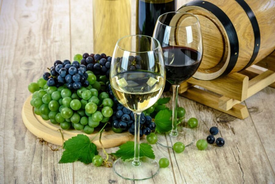 Half-Day Wine Tour in Andalusia in small group - Learning What Gets You From Grapes to Andalusian Wine