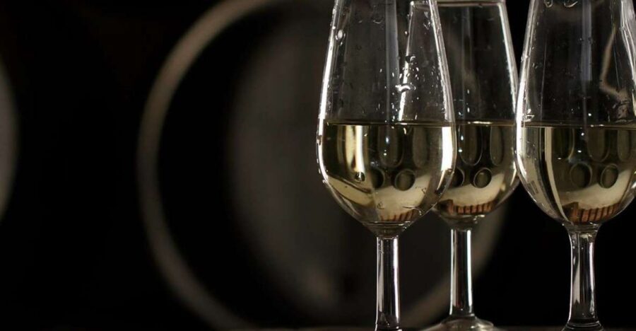 Half-Day Wine Tour in Andalusia in small group - Who This Tour Is Best For (and Who Should Skip It)