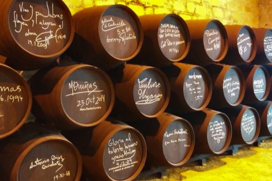 Half-Day Wine Tour in Andalusia in small group - The Seville Pickup and the Coach Ride Out
