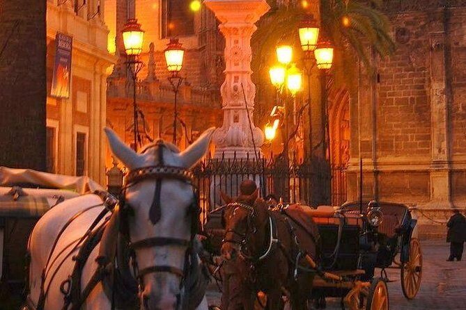Horse and Buggy Ride in Seville with guide - Horse and Buggy in Seville: The Tone of the Ride