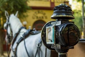 Horse and Buggy Ride in Seville with guide - Where You Meet and How to Start Smoothly