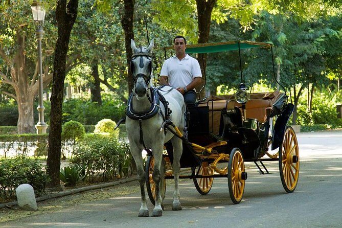 Horse and Buggy Ride in Seville with guide - Paseo Colón and the Feel of the City