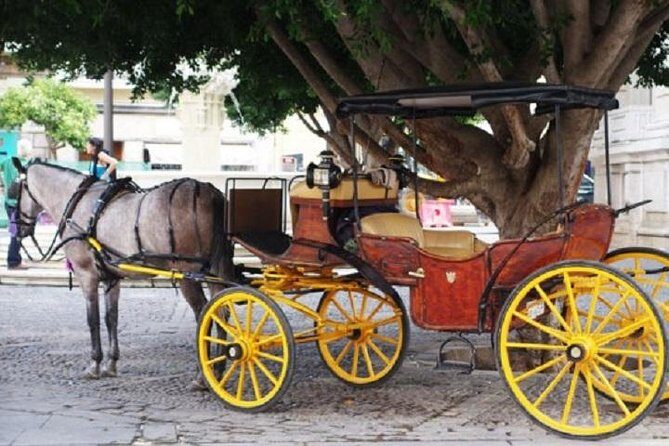 Horse-Drawn Carriage Ride Through Seville - Meeting at Colors of Seville: where your ride actually starts