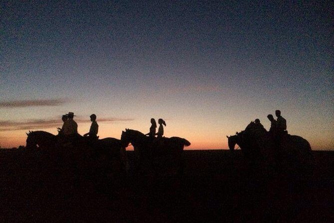 Horseback riding around Doñana National Park - Key Highlights You’ll Actually Care About