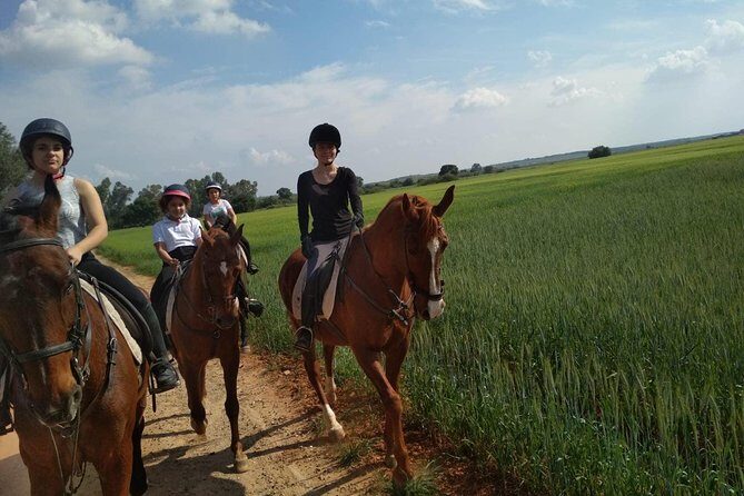 Horseback riding around Doñana National Park - A Small-Group Horse Ride Near Seville’s Countryside