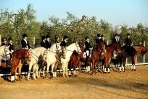 Horseback riding around Doñana National Park - Getting Matched with the Right Horse (Even If You’re a First-Timer)