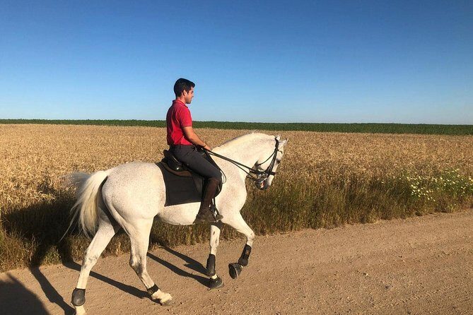 Horseback riding around Doñana National Park - Price and Logistics: What $102.80 Buys You (and What It Doesn’t)