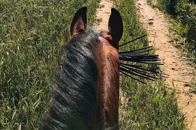 Horseback riding around Doñana National Park - What to Bring and How to Prepare
