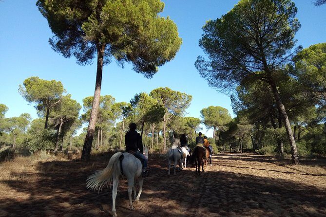 Horseback Riding Experience in Aljarafe, Doñana park from Seville - Price and value: is $114.13 a fair deal?