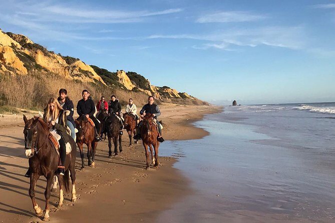 Horseback riding tour of Doñana and visit of El Rocio - Key highlights you should care about