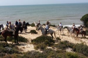 Horseback riding tour of Doñana and visit of El Rocio - Parque Nacional de Doñana: forests, marshy areas, and wildlife watching from the saddle