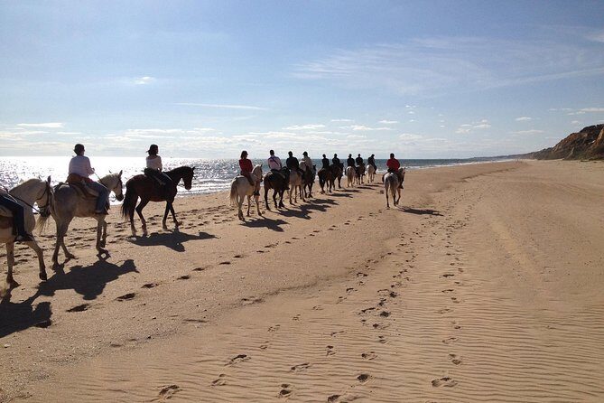 Horseback riding tour of Doñana and visit of El Rocio - Guides and horses: how Francisco and Alfonso set the tone