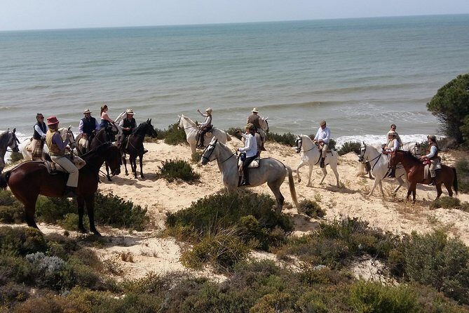 Horseback riding tour of Doñana and visit of El Rocio - Parque Nacional de Doñana: forests, marshy areas, and wildlife watching from the saddle