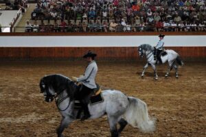 Jerez and Cadiz with Horse Ballet and Sherry Tasting from Seville - Sherry tasting in Jerez: included, easy, and actually useful