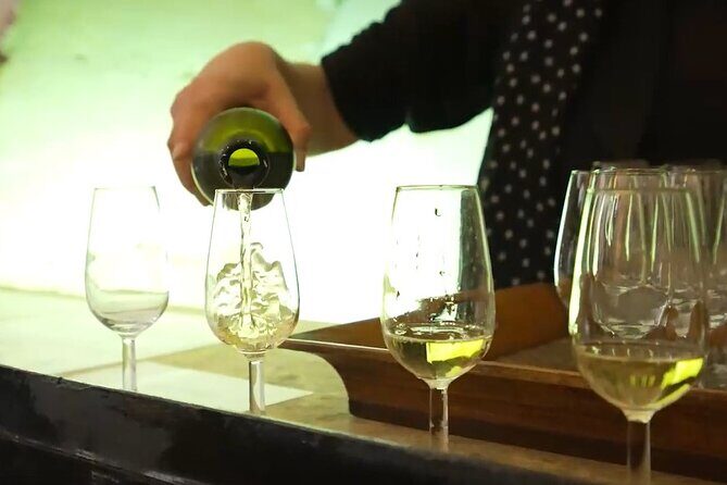 Jerez and Cadiz with Horse Ballet and Sherry Tasting from Seville - Guides, group size, and comfort on the ride