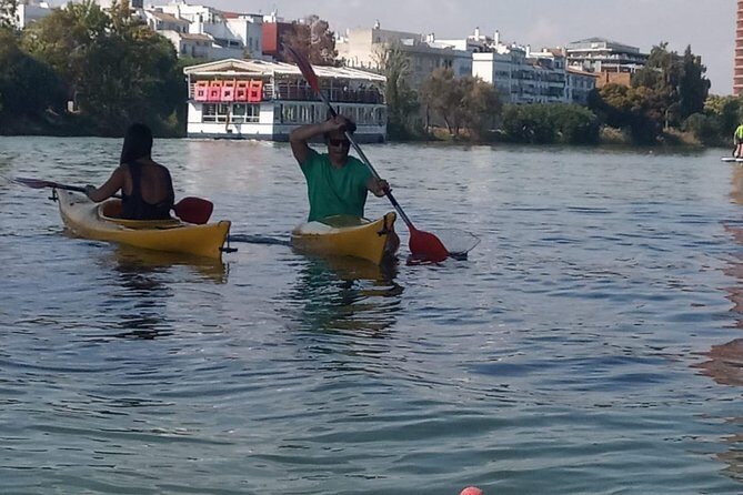 Kayak Guided Tours - Kayaking the Guadalquivir: The Real Reason to Go