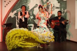 Los Gallos Flamenco Show Admission Ticket - What the 75-minute show is like on stage (and why the format works)