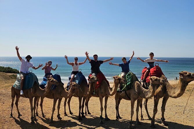 Morocco Express: Private Tour Tangier from Seville AllInclusive - Key highlights to know before you go