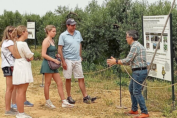 Oleotourism and olive oil tasting in Seville - Private tour - Key points worth clocking before you go