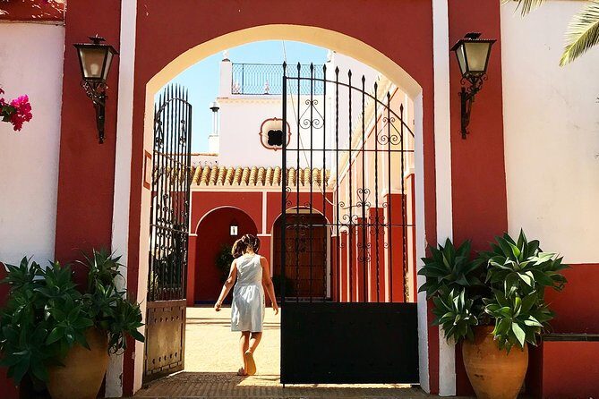 Oleotourism and olive oil tasting in Seville - Private tour - Hacienda Guzmán: why this is more than an olive oil stop