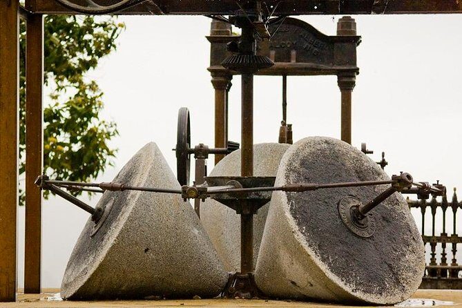 Olive Oil Farm Tour with Tasting from Seville - Who This Tour Is Best For (And Who Might Find It Frustrating)
