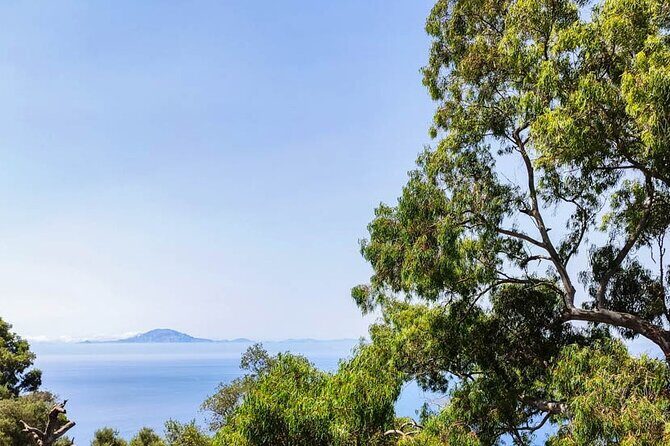 Premium private trip to Gibraltar from Seville (multiple options) - Why this private Gibraltar day trip works so well from Seville