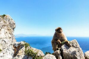 Premium private trip to Gibraltar from Seville (multiple options) - The drive, the border rhythm, and how to think about timing