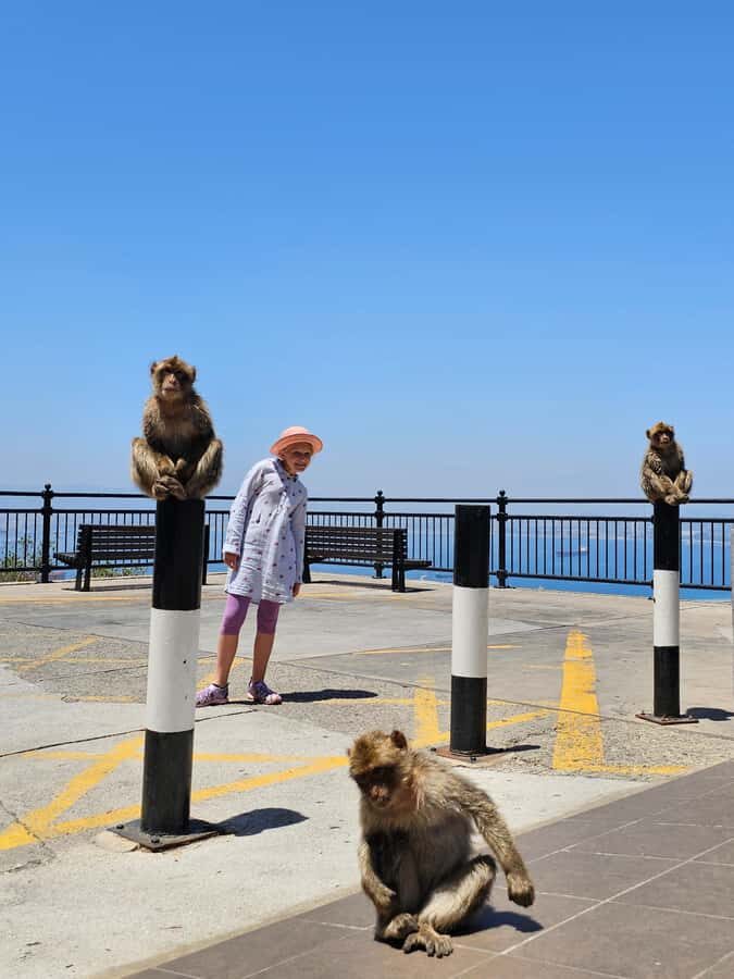 Private Day Trip: Gibraltar & (Tangier) Morocco from Seville - Who this private day trip suits best