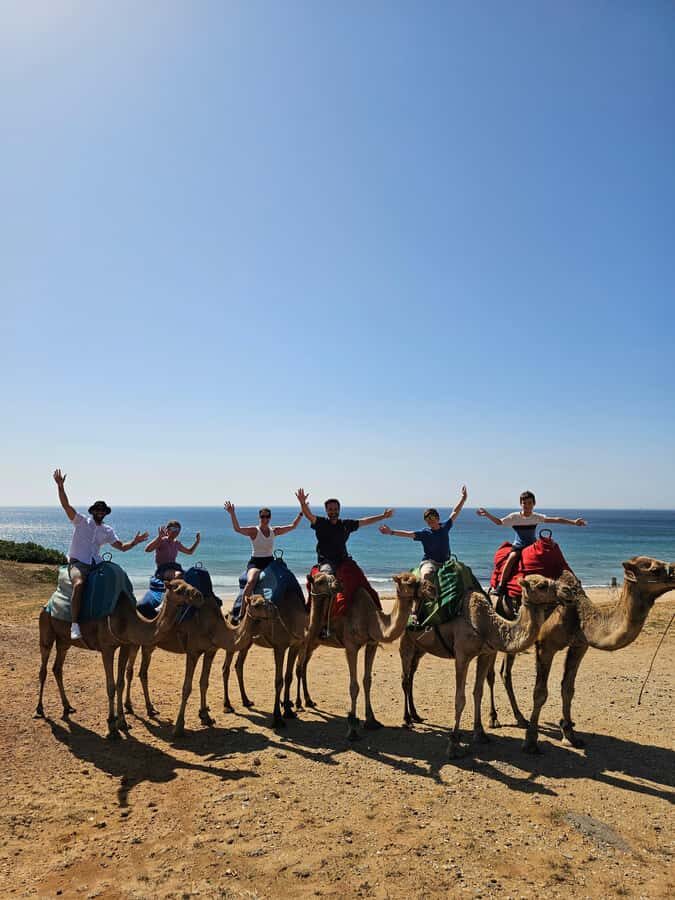 Private Day Trip: Gibraltar & (Tangier) Morocco from Seville - Rock of Gibraltar: views, history, and Barbary macaques