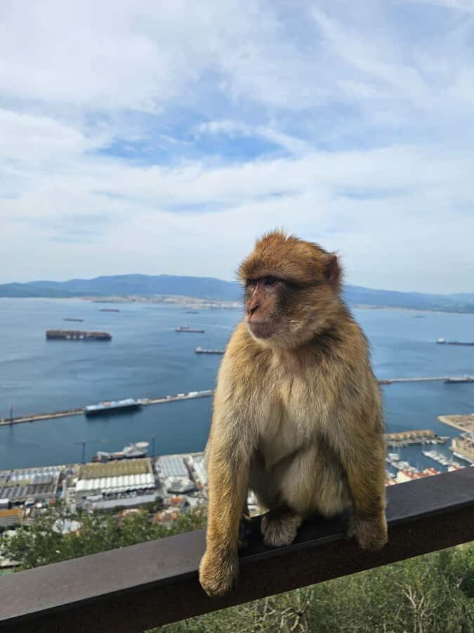 Private Day Trip: Gibraltar & (Tangier) Morocco from Seville - Early pickup and the long road south (Seville → La Linea)