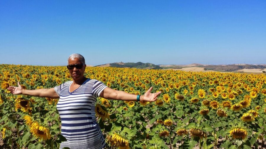 Private Day Trip to Ronda and Malaga from Seville - Ronda’s Tajo de Ronda and New Bridge: the part you’ll remember