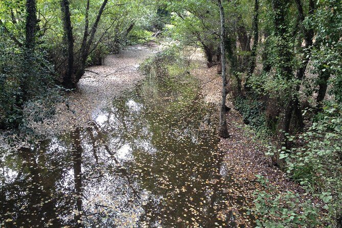 Private Ebike full day excursion to Sierra Norte Natural Park - San Nicolás del Puerto: lunch option and Iberian ham shopping time