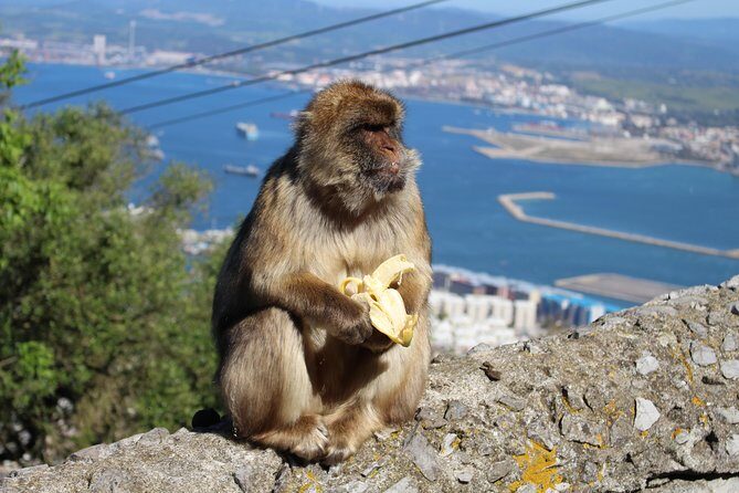 Private Gibraltar Day Tour from Seville - Getting there and crossing into Gibraltar without stress