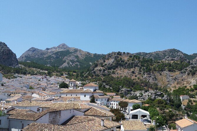 Private Guided Day Trip to the White Villages and Ronda - Zahara de la Sierra and the olive oil factory visit you’ll actually remember