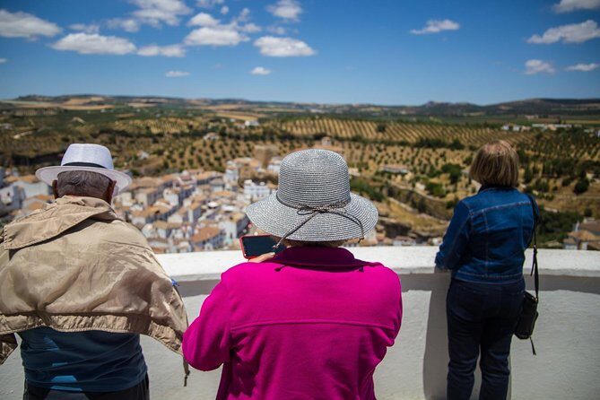 Private Guided Day Trip to the White Villages and Ronda from Seville - Price and logistics: what you’re really paying for