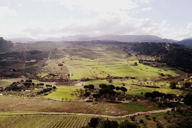Private Guided Day Trip to the White Villages and Ronda from Seville - Grazalema area lunch time: a smart break from constant driving