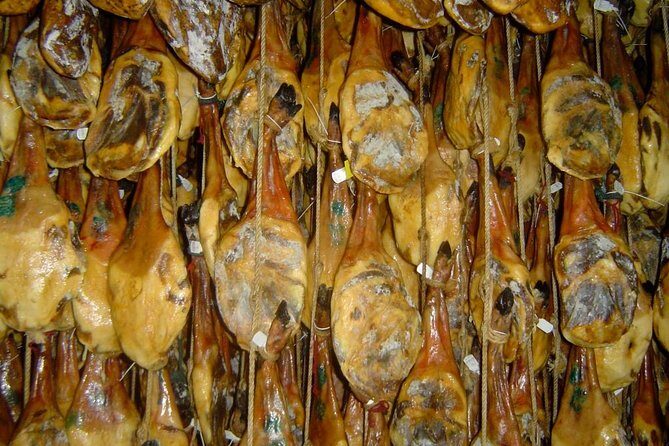 Private Iberian ham tour to the Sierra de Aracena - Price and logistics: is $348.07 per person good value?