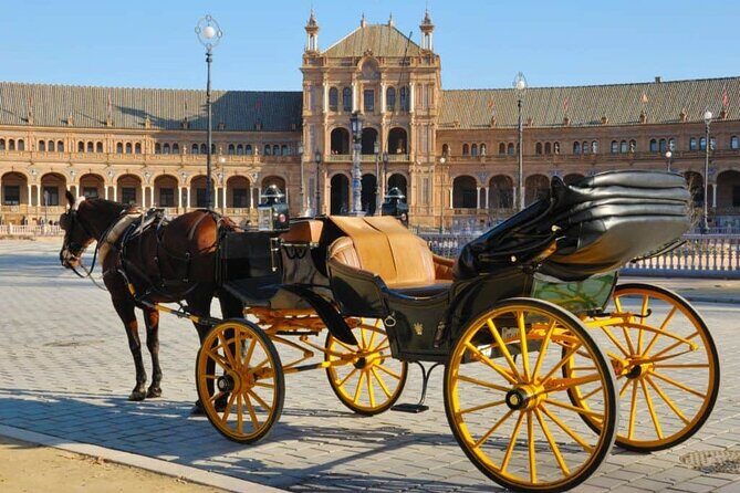 Private Sevilla Tour for families with children and teens... - A private Sevilla plan that works for kids and teens