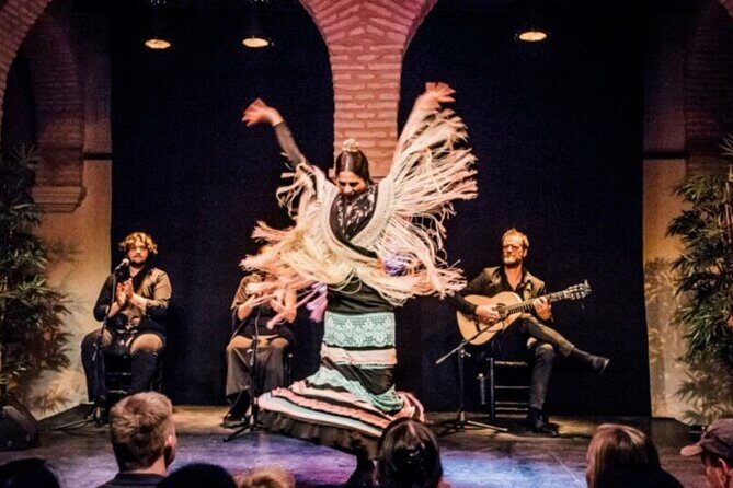 Private Seville Flamenco & Tapas Experience - Musee Flamenco de Seville: the 1-hour show that starts the night right