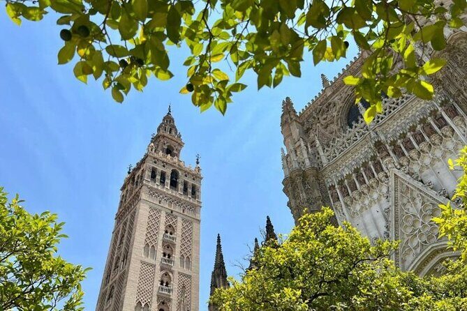 Private Tour Alcazar Seville Cathedral and Giralda Tower Climb - Practical tips to make the day smoother