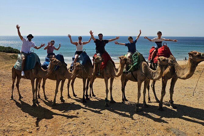 Private Tour: Day through Gibraltar and Morocco, Tangier from Seville - Key highlights