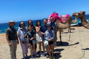 Private Tour: Day through Gibraltar and Morocco, Tangier from Seville - Gibraltar’s La Roca, Punta Europa, and the Monkey Moment