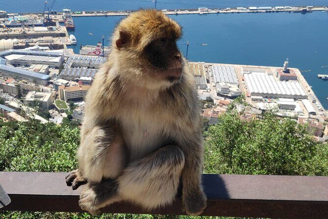 Private Tour: Day through Gibraltar and Morocco, Tangier from Seville - Price and Value: What $828+ Gets You in a Private Day