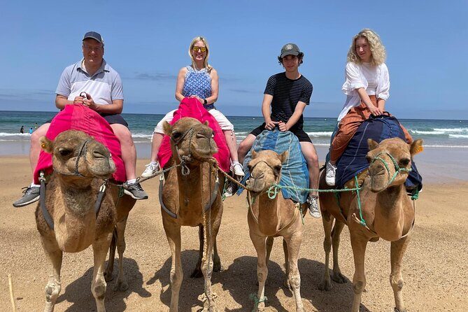 Private Tour: Day through Gibraltar and Morocco, Tangier from Seville - Who This Tour Fits Best (and Who Might Prefer a Different Plan)