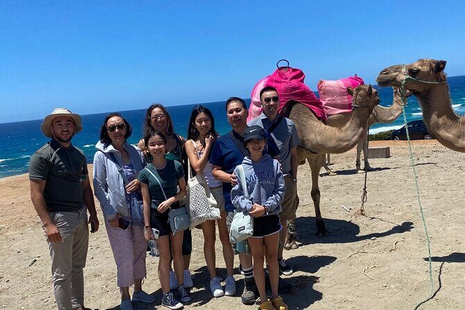 Private Tour: Day through Gibraltar and Morocco, Tangier from Seville - Gibraltar’s La Roca, Punta Europa, and the Monkey Moment
