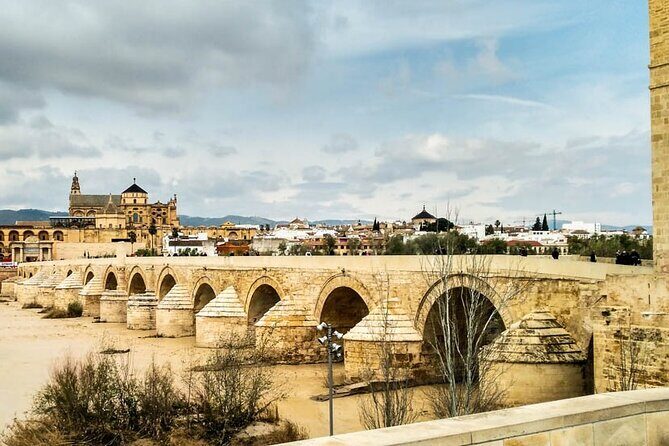 Private tour to Cordoba from Seville (several options) - Quick highlights