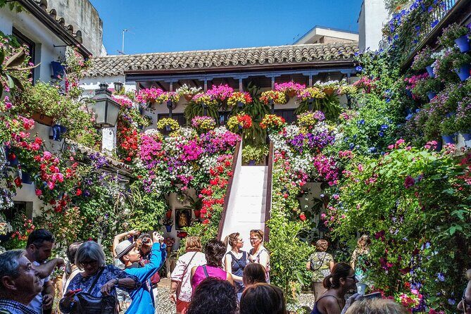 Private tour to Cordoba from Seville (several options) - Price and Logistics: Why a Private Córdoba Day Costs $465.59