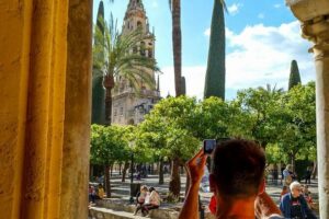 Private tour to Cordoba from Seville (several options) - From Seville to Córdoba: Pickup, Drive Time, and Comfort