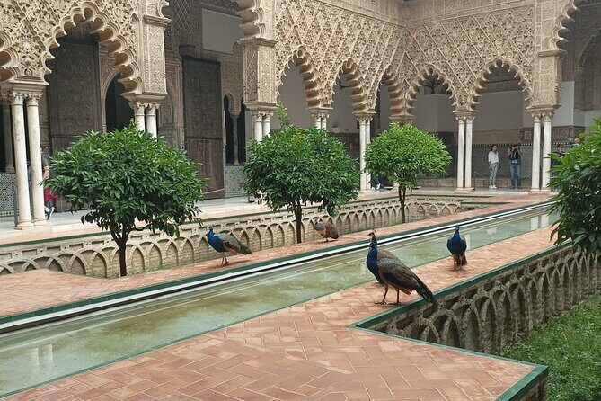 Private Tour with Local Guide to know the Seville Essential - Royal Alcázar with priority entry: more than a pretty palace